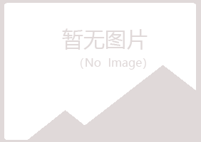 江西紫山会计有限公司